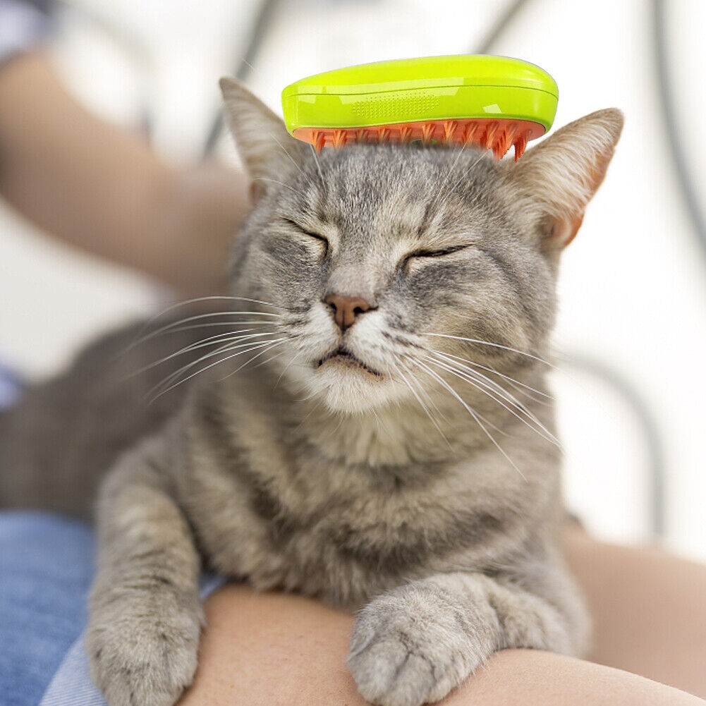 Misty Pet Brush Steamer
