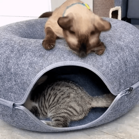 Playtime Donut Cat House