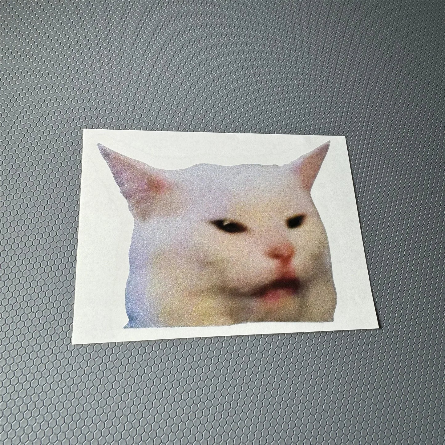 That Peeking Cat Meme Sticker