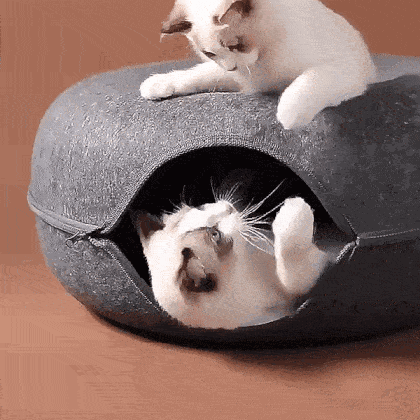 Playtime Donut Cat House